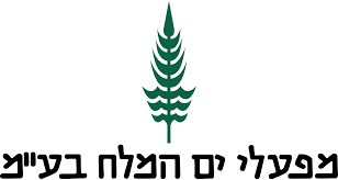 ברום יום המלח לוגו